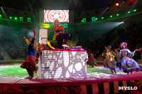 Цирковое шоу Жар птица, Фото: 92