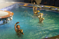 В Тулу приехал цирковой мюзикл на воде «Одиссея», Фото: 9