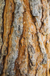 , Фото: 5