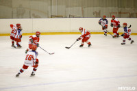 Детский хоккейный турнир в Новомосковске., Фото: 28