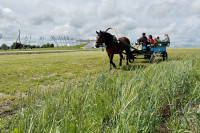 Богатырская сила-2025, Фото: 13