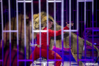 Шоу фонтанов «13 месяцев» в Тульском цирке – подарите себе и близким путевку в сказку!, Фото: 80