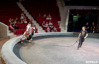 «В Тульском цирке прошла открытая репетиция программы «Цирк зажигает огни», Фото: 75