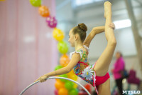 Соревнования по художественной гимнастике "Тульский сувенир", Фото: 74