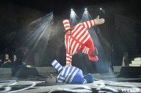 Цирковое шоу, Фото: 39