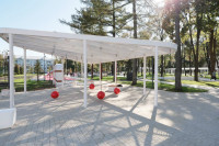 Губернатор с рабочим визитом посетил Новомосковск, Фото: 11