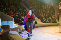 "Чудеса под Новый год" в Тульском цирке, Фото: 64