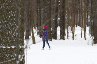 Туляки катаются на лыжах в Центральном парке, Фото: 17