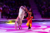 Цирковое шоу Жар птица, Фото: 144