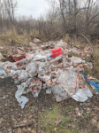 В Узловском районе возле дороги нашли свалку куриных тушек, Фото: 4