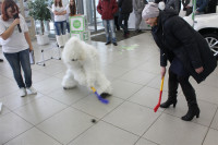 Презентация кроссовера ŠKODA Yeti., Фото: 31