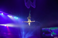 Шоу Гии Эрадзе «5 континентов» в Тульском цирке: феерия уже началась!, Фото: 67