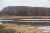 В Зайцевском пруду поселился дикий лебедь, Фото: 3