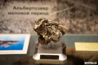 «Миллионы лет под землей»: в Тульском краеведческом музее открылась палеонтологическая выставка, Фото: 1