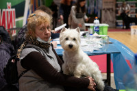 В Туле прошла выставка собак всех пород, Фото: 63