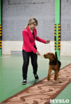 Выставка собак в Туле , Фото: 52