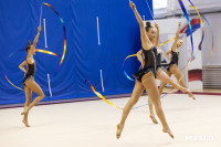 В Туле стартовало первенство Центрального федерального округа по художественной гимнастике, Фото: 80