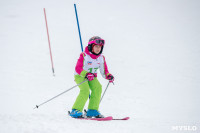 Третий этап первенства Тульской области по горнолыжному спорту., Фото: 26