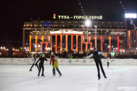 Туляки отметили Старый Новый год ледовым шоу, Фото: 52