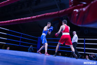 В Туле прошли финальные бои Всероссийского турнира по боксу, Фото: 52