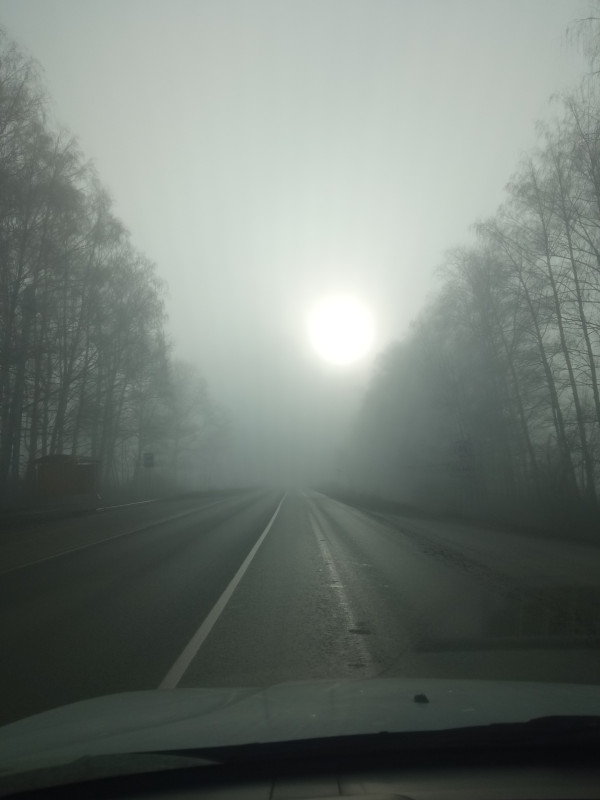 март. солнце сквозь туман .