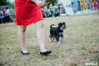 Всероссийская выставка собак в Туле, Фото: 49