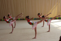 Каратэ, гимнастика и другой спорт для детей в Туле, Фото: 4