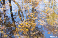 Золотая осень в Ясной Поляне, Фото: 20