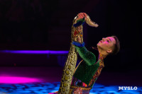 Цирковое шоу Жар птица, Фото: 76
