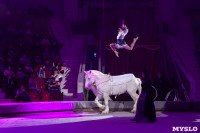 Премьера новогоднего шоу в Тульском цирке, Фото: 51