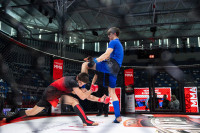 В «Тула-Арене» состоялись областные соревнования по ММА, Фото: 19