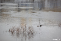 В Туле затопило Пролетарскую набережную, Фото: 13