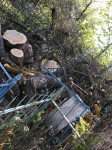 В Черни во время уборки на кладбище могилы завалили спиленными деревьями, Фото: 4