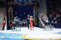Цирк на воде «Остров сокровищ» в Туле: Здесь невозможное становится возможным, Фото: 93