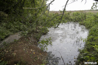 Под Тулой обнаружено зловонное озеро отходов, Фото: 9