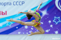 Тула провела крупный турнир по художественной гимнастике, Фото: 27