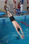 Открытые чемпионат и первенство Тульской области по плаванию на короткой воде, Фото: 13