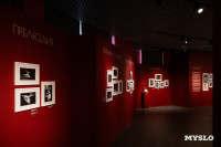 В тульском Фонде искусств открылась выставка, посвященная Майе Плисецкой, Фото: 6