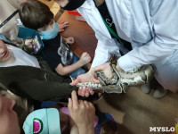 Ночь музеев в экзотариуме: Формалин для жуков и змея, принесшая славу Тульском зоопарку, Фото: 7