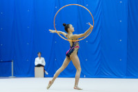 Художественная гимнастика, Фото: 36