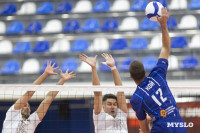 Белогорье - Динамо (Урал), Фото: 88