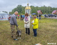 Международная выставка собак, Барсучок. 5.09.2015, Фото: 66