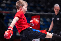 В «Тула-Арене» состоялись областные соревнования по ММА, Фото: 68