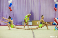 Всероссийские соревнования по художественной гимнастике на призы Посевиной, Фото: 75