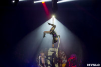 Шоу фонтанов «13 месяцев» в Тульском цирке – подарите себе и близким путевку в сказку!, Фото: 12