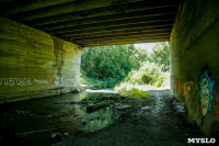 Рейд Myslo: в каком состоянии Тульские мосты, Фото: 96