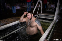 В Центральном парке Тулы прошли крещенские купания, Фото: 103