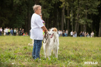 Фестиваль охоты в Ясной Поляне, Фото: 82