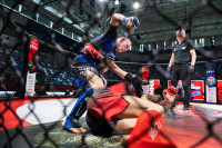 В «Тула-Арене» состоялись областные соревнования по ММА, Фото: 31
