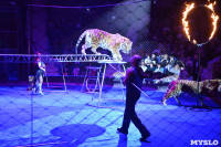 Цирковое шоу, Фото: 126